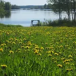 Karjalan Helmi 3* Tolosenmäki
