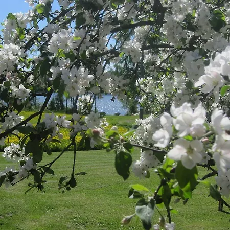 Karjalan Helmi Tolosenmäki
